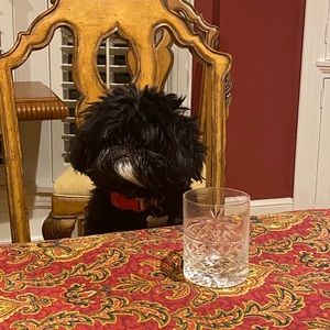 Meet your Posher, Beau